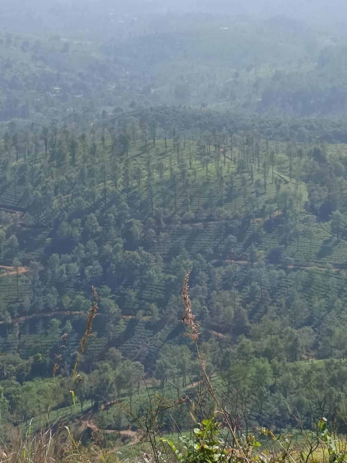 Kuruva Shoreline Wayanad Chegāt 外观 照片